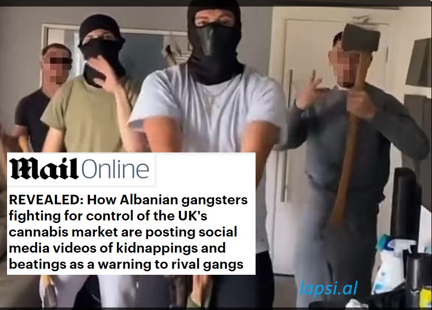 shqiptaret daily mail