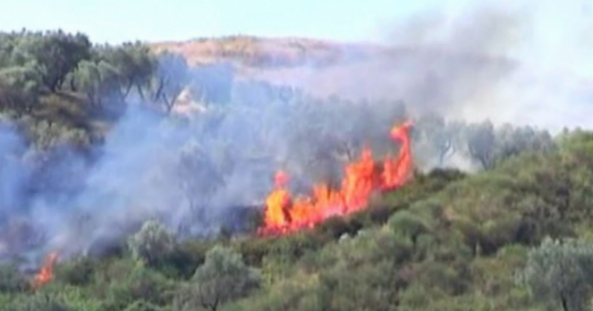 flakët, Vatër zjarri në Dimal, zjarrfikëset nuk hyjnë dot për shkak të terrenit