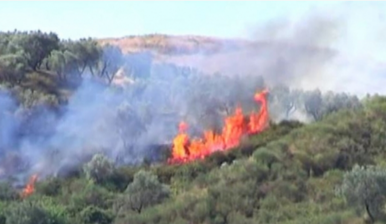 flakët, Vatër zjarri në Dimal, zjarrfikëset nuk hyjnë dot për shkak të terrenit