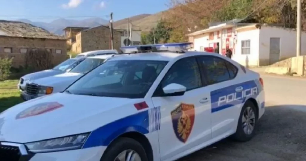 Pogradec, Policia, Sherr për prona në Prrenjas, goditet me sende të forta 40-vjeçari