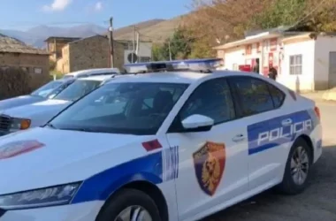 Pogradec, Policia, Sherr për prona në Prrenjas, goditet me sende të forta 40-vjeçari