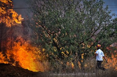 Zjarret në Greqi, evakuohen edhe 8 fshatra