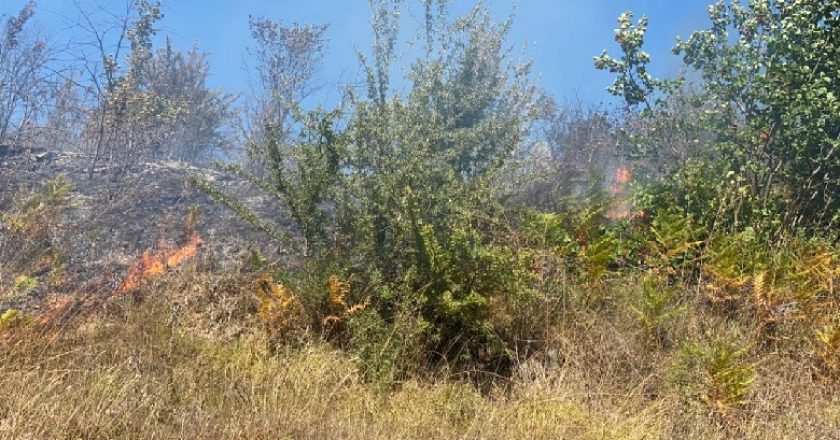 Ndezi zjarr për plehrat, por dogji një sipërfaqe toke me shkurre, procedohet autori në Tiranë