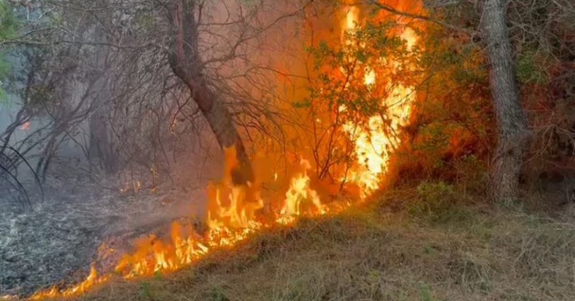 Zjarri në Pishporo, kërkohet ndërhyrje nga ajri