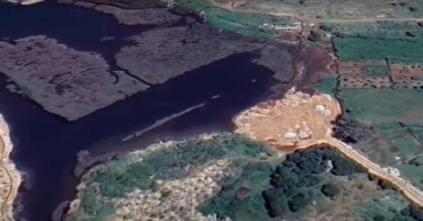 Masakra mjedisore në Liqenin e Butrintit, arrestohen dy punonjës të Zonave të Mbrojtura (Emrat)