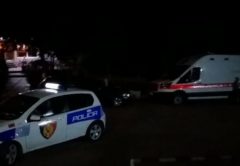Tiranë, makinë, Sherri me sende të forta, dy të arrestuar në Pukë, gjahut