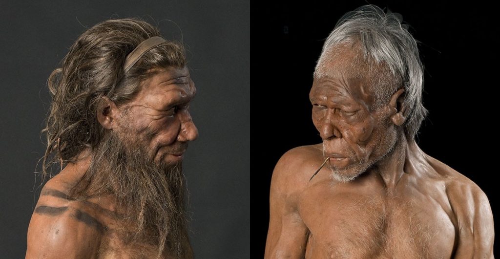 Neandartali dhe Homo Sapiens të krijuar sipas kafkave të zbuluara