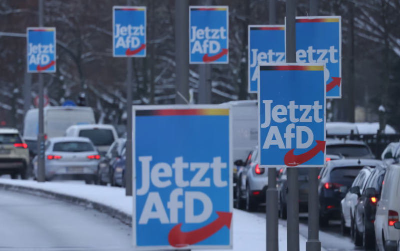 AfD në Gjermani, ose Partia e Lirisë në Austri janë admirues të hapur të presidentit të Rusisë, Vladimir Putin Getty Images