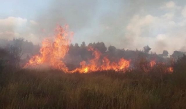 zjarr, Ndezi zjarr në tokën e tij, i moshuari vdes nga asfiksia në Sukth të Durrësit